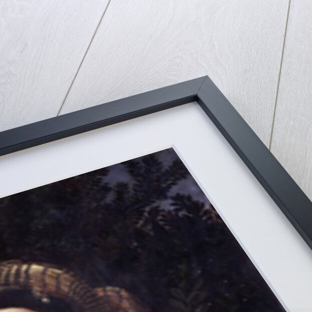 Portrait of a Young Woman or La Fornarina by Raphael