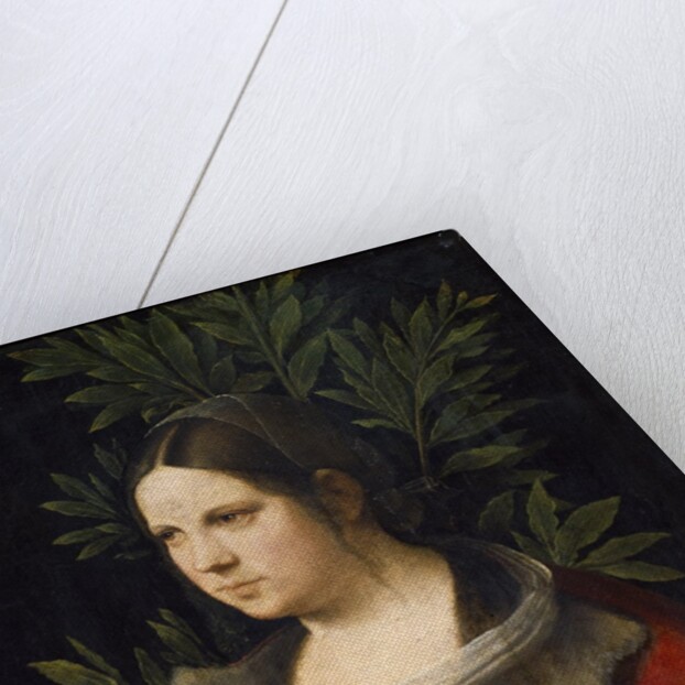 Portrait of Laura de Noves by Giorgione