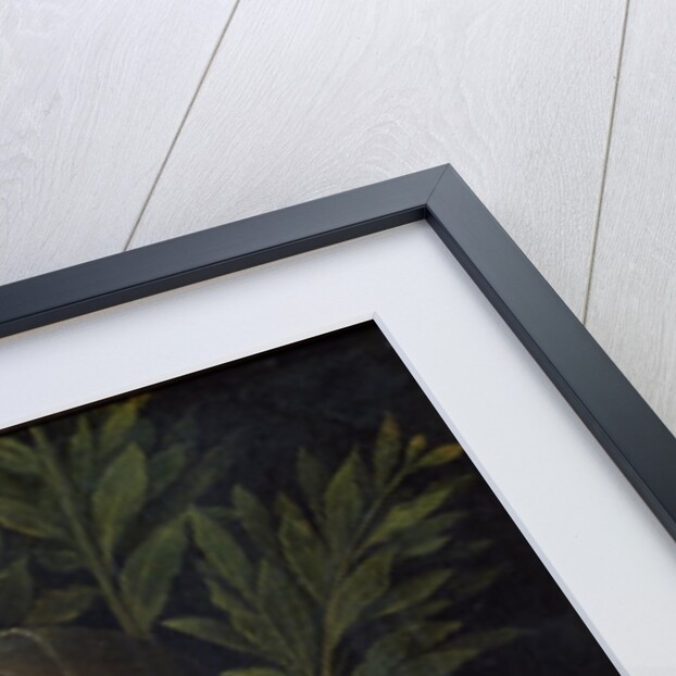 Portrait of Laura de Noves by Giorgione