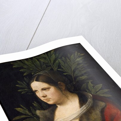 Portrait of Laura de Noves by Giorgione