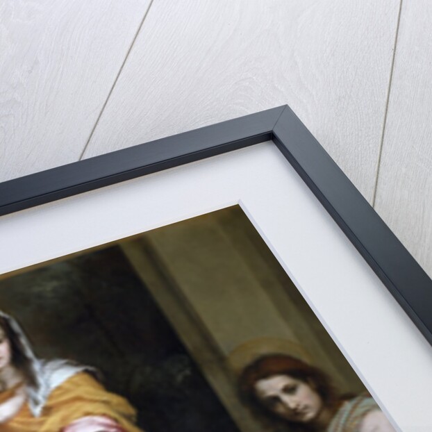 Madonna of the Harpies by Andrea del Sarto