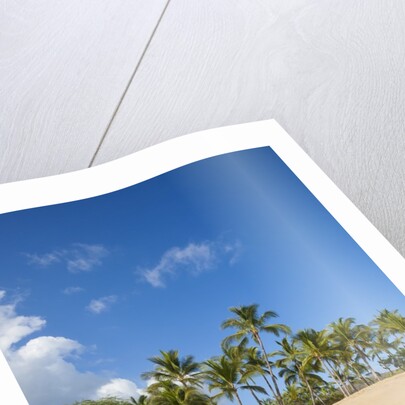Hulopo'e Beach by Anonymous