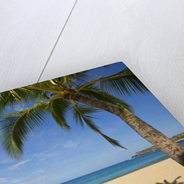 Vacationing couple's beach chair and umbrella on Hulupo'e Beach; Manele Bay; Lanai; Hawaii by Anonymous