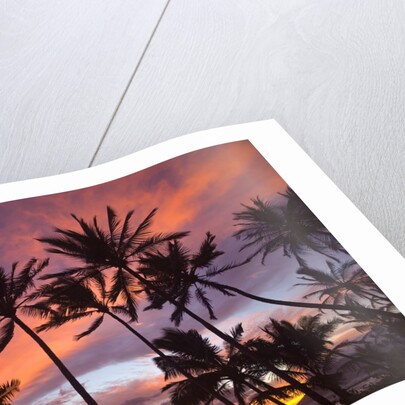 Sunset at Keawekapu Beach, Wailea, Maui, Hawaii by Anonymous