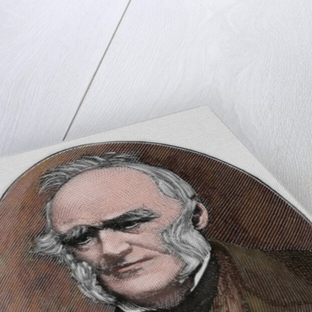 Charles Lyell (1797-1875). Engraving. Colored. by Anonymous