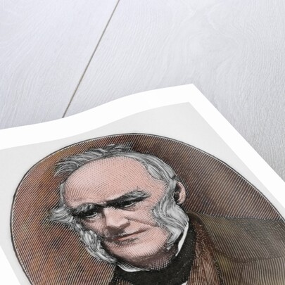 Charles Lyell (1797-1875). Engraving. Colored. by Anonymous