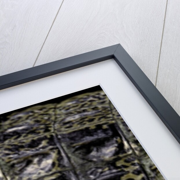 Gavialis gangeticus (gharial) - scales by Anonymous