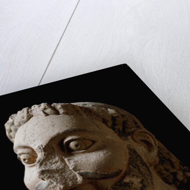 One of the three heads of the monster fighting against Herakles by Anonymous