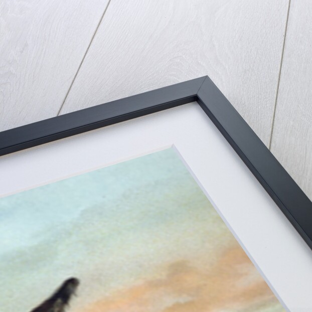 The Life and Adventures of Robinson Crusoe by Defoe by Anonymous