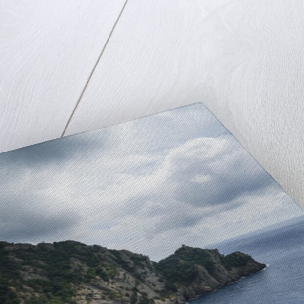 The trail from San Rocco to San Fruttuoso by Anonymous