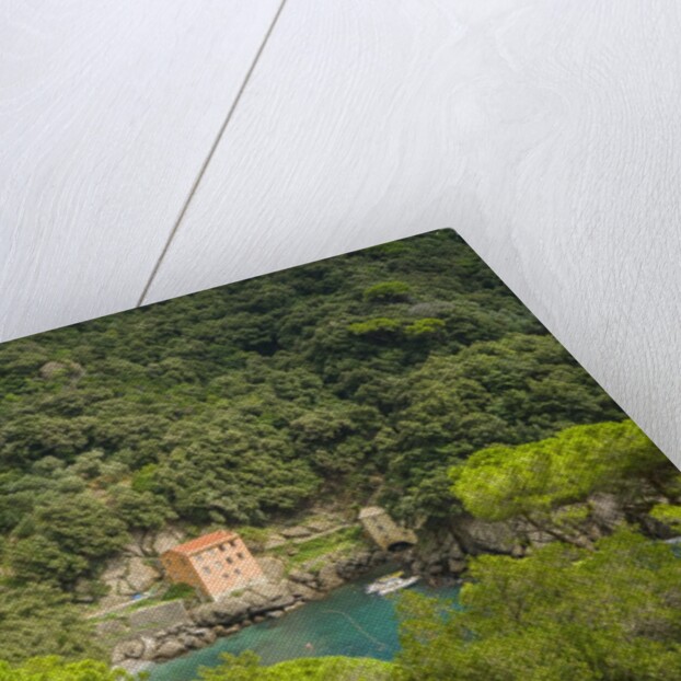 View of San Fruttuoso by Anonymous