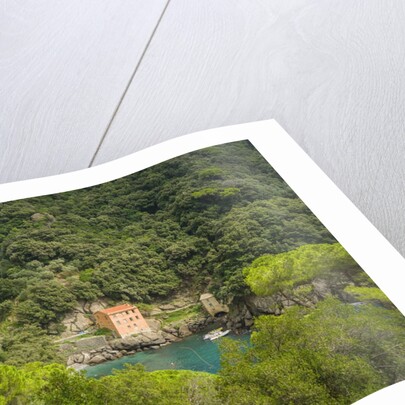 View of San Fruttuoso by Anonymous