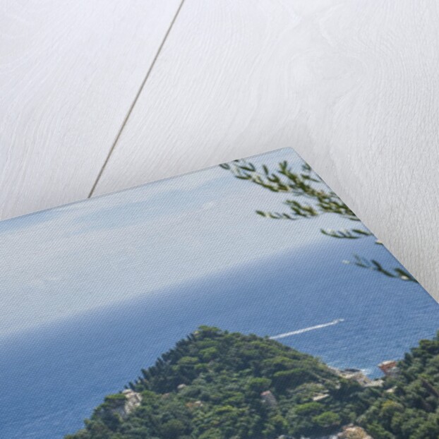 View of Portofino by Anonymous