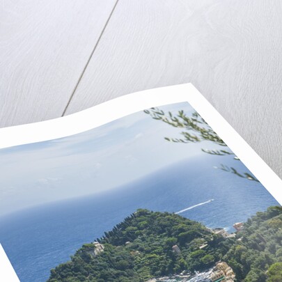 View of Portofino by Anonymous