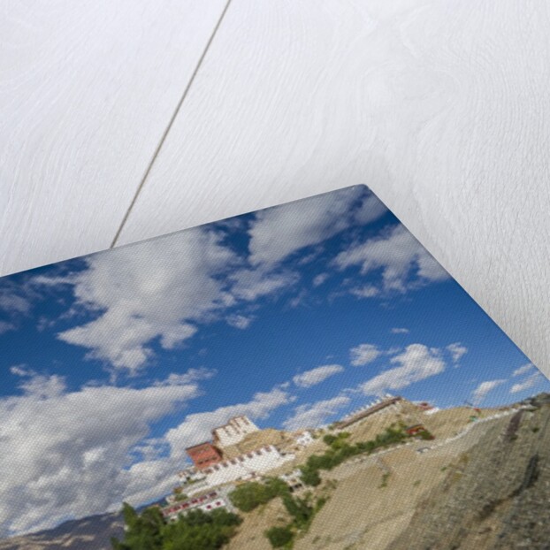 Thikse Monastery by Anonymous
