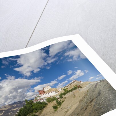 Thikse Monastery by Anonymous