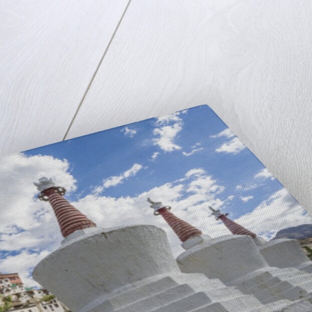 Stupa in the village near Thikse Monastery by Anonymous