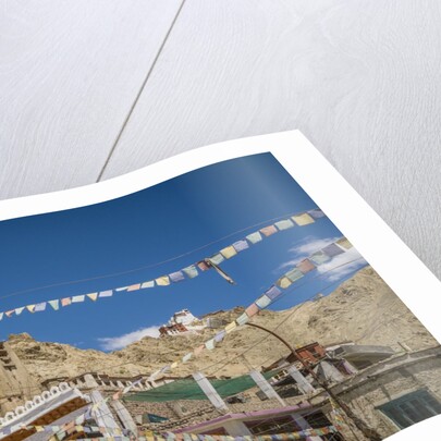 The mosque and the Palace by Anonymous