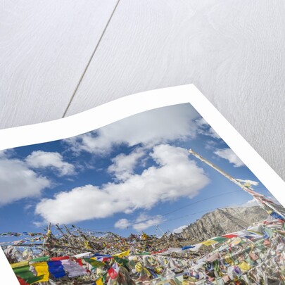Khardung-La Pass is the highest motorable road in the world with 18380 feet, 5602,2 meters by Anonymous