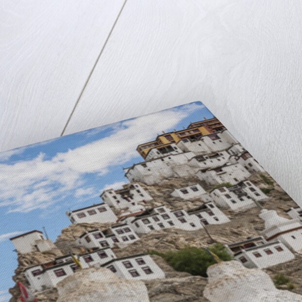 Thikse Monastery by Anonymous