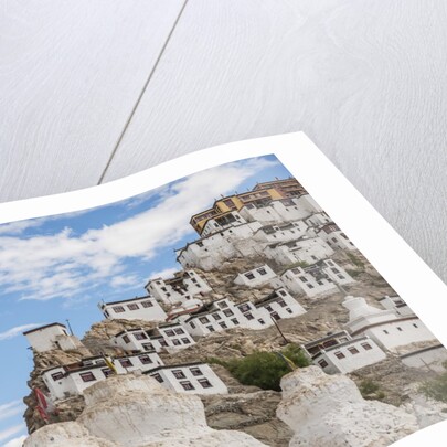 Thikse Monastery by Anonymous