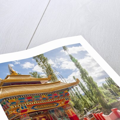 Sacred Wheel by Anonymous