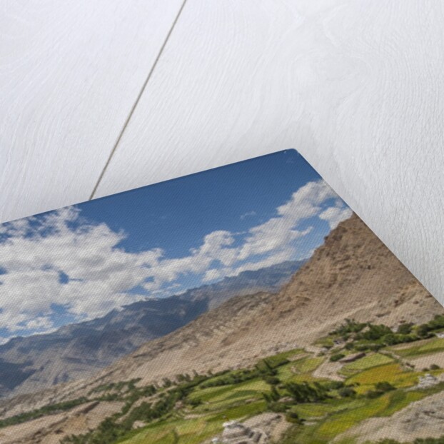 View from Likir Monastery by Anonymous