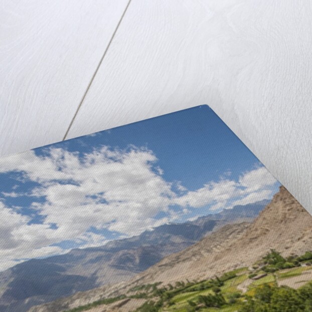 View from Likir Monastery by Anonymous