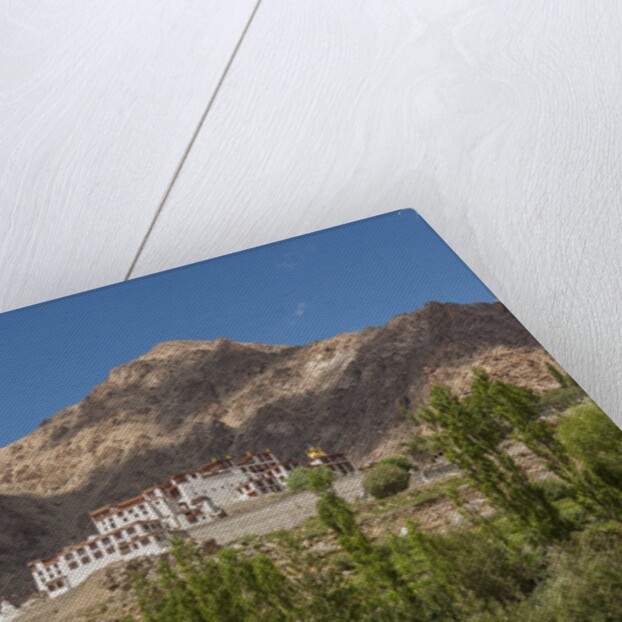 Likir Monastery by Anonymous