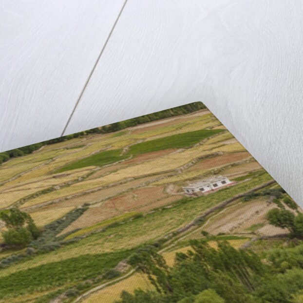 Chemde Monastery, near Karu, corn field around monastery by Anonymous