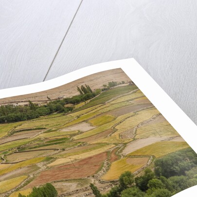 Chemde Monastery, near Karu, corn field around monastery by Anonymous