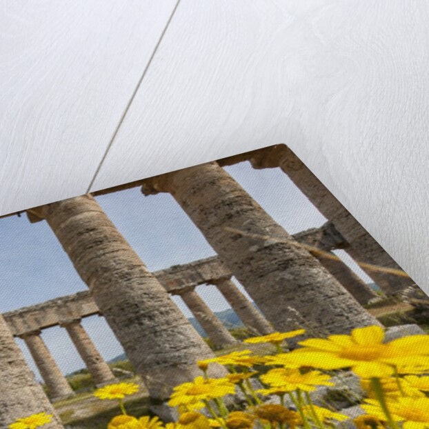 Segesta, the temple by Anonymous