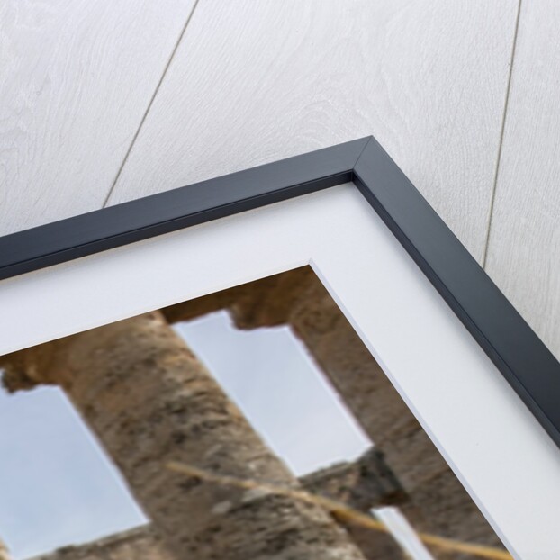 Segesta, the temple by Anonymous