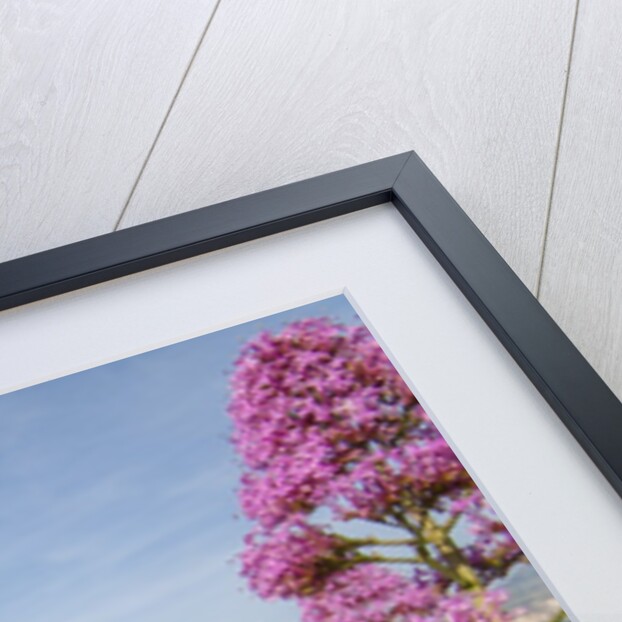 View of Golfo di Bonagia from Erice by Anonymous
