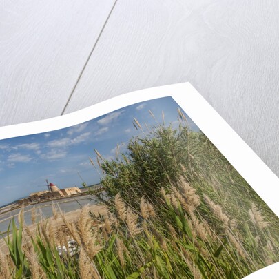 Ettore e Infersa Salt works area by Anonymous
