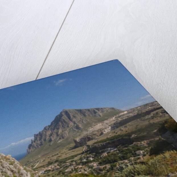 View of Custonaci and Monte Cofano by Anonymous