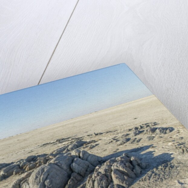 Sua Pan and Rocks of Kubu Island, Botswana by Anonymous