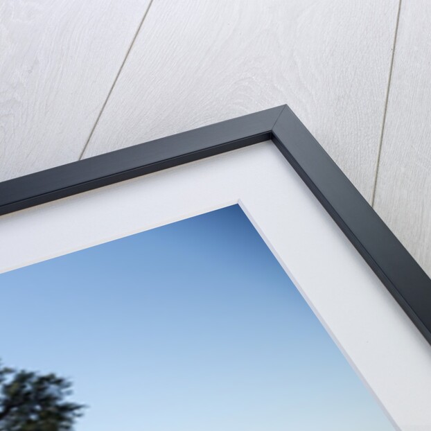 Acacia Tree, Makgadikgadi Pan, Botswana by Anonymous