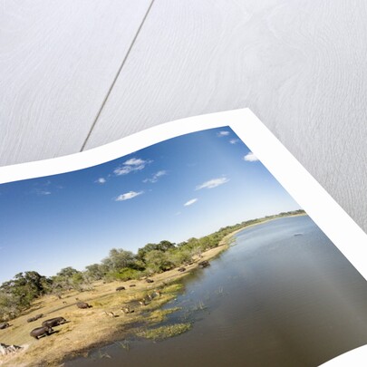 Aerial View of Hippo Pond, Moremi Game Reserve, Botswana by Anonymous