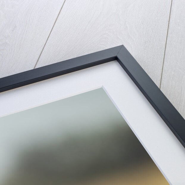 Impala Horns, Moremi Game Reserve, Botswana by Anonymous