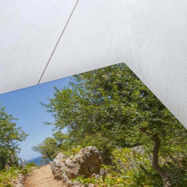 Lo Zingaro Natural Reserve by Anonymous