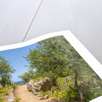 Lo Zingaro Natural Reserve by Anonymous