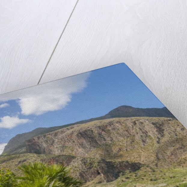 Lo Zingaro Natural Reserve by Anonymous
