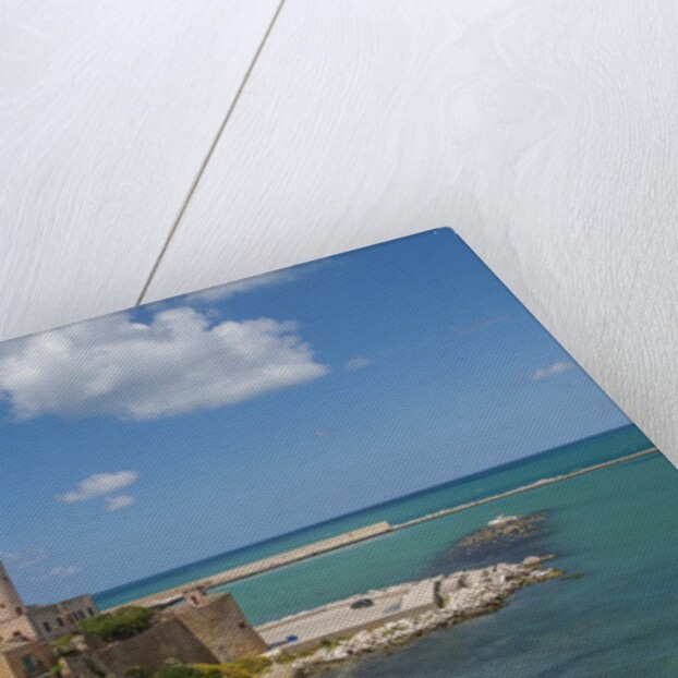 View of Castellammare del Golfo by Anonymous