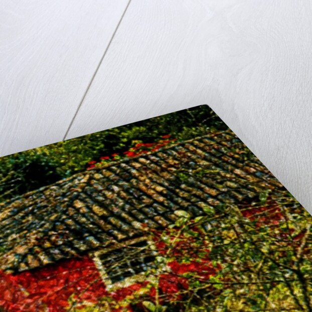 Red House by Anonymous