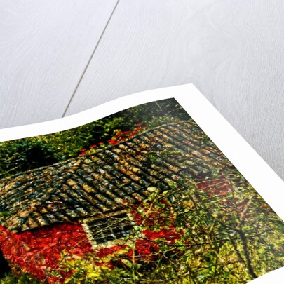Red House by Anonymous