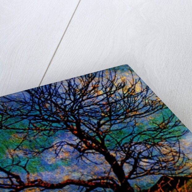 Tree by Anonymous