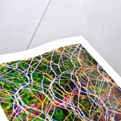 Wire Grid by Anonymous