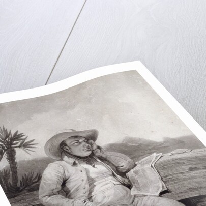 Portrait of Napoleon I in St Helena by Samuel William Reynolds