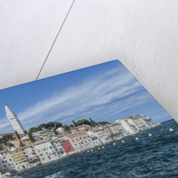 Rovinj by Anonymous